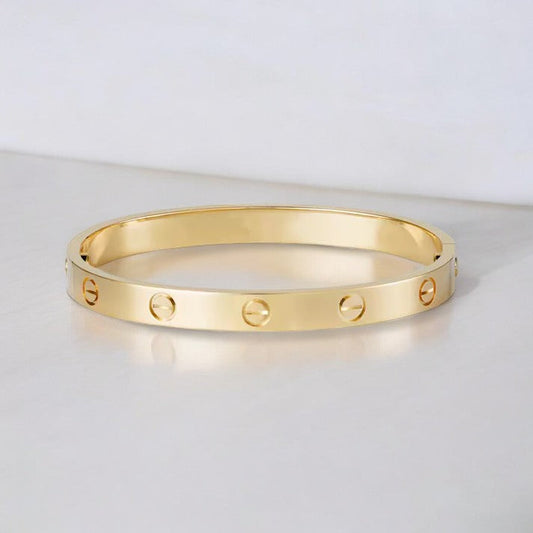 Monde Uniseks Bangle Armband van Roestvrij Staal – Ovale Vorm – Schroefdetails – Minimalistisch Design – Zilverkleurig