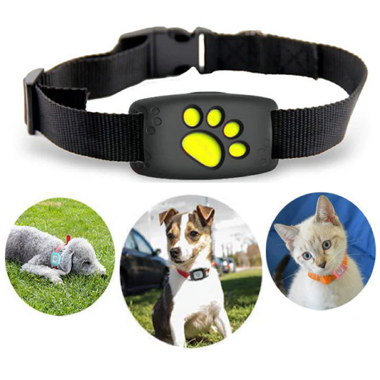 Monde GPS Halsband voor katten – IP67 waterdicht